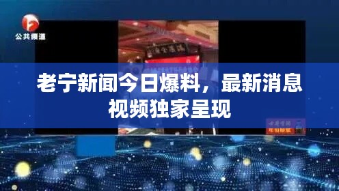 老寧新聞今日爆料，最新消息視頻獨家呈現(xiàn)