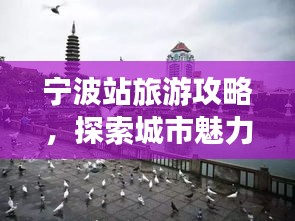 寧波站旅游攻略，探索城市魅力必覽！