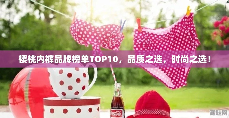 櫻桃內(nèi)褲品牌榜單TOP10，品質(zhì)之選，時(shí)尚之選！