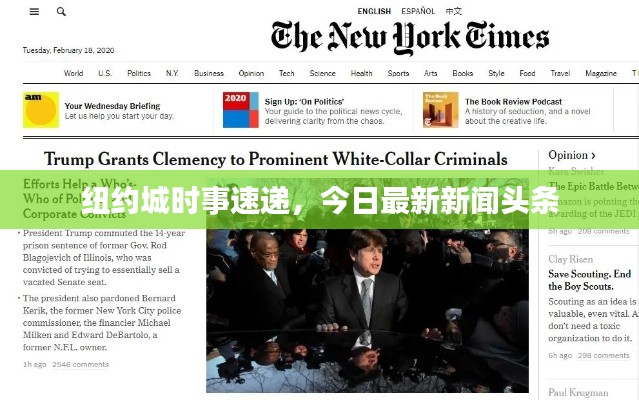 紐約城時(shí)事速遞，今日最新新聞?lì)^條