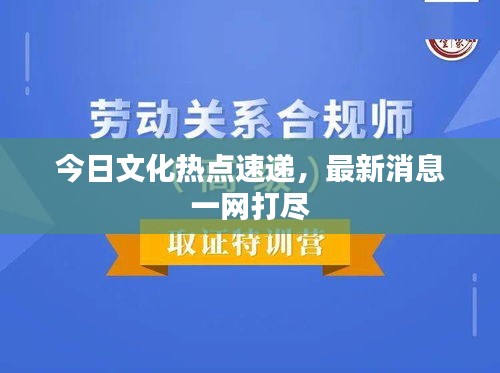 今日文化熱點(diǎn)速遞，最新消息一網(wǎng)打盡