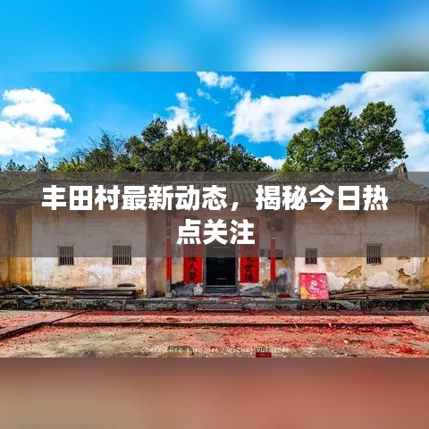 豐田村最新動態(tài)，揭秘今日熱點關(guān)注