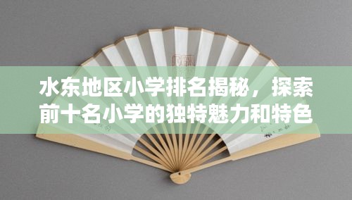 水東地區(qū)小學(xué)排名揭秘，探索前十名小學(xué)的獨(dú)特魅力和特色教育之路