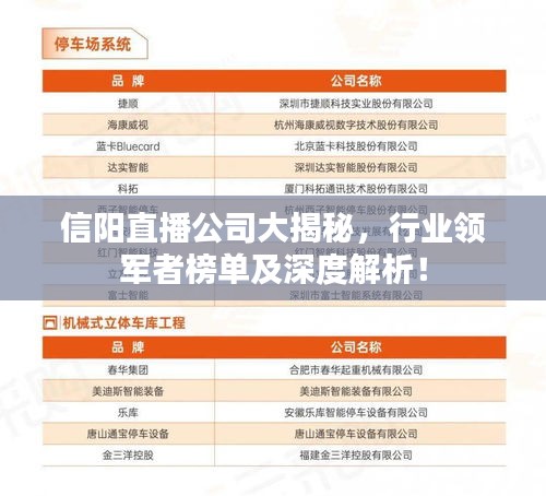 信陽直播公司大揭秘，行業(yè)領(lǐng)軍者榜單及深度解析！