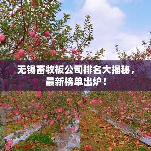 無錫畜牧板公司排名大揭秘，最新榜單出爐！