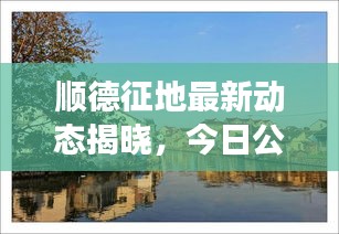 順德征地最新動態(tài)揭曉，今日公告刷新征地進展！