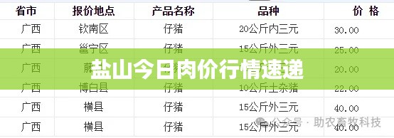鹽山今日肉價(jià)行情速遞