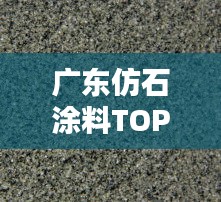 廣東仿石涂料TOP10排行榜，品質(zhì)之選一網(wǎng)打盡！