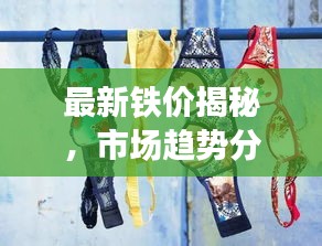 最新鐵價揭秘，市場趨勢分析與附近鐵價動態(tài)