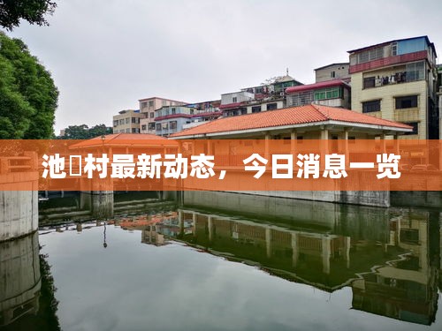 池滘村最新動(dòng)態(tài)，今日消息一覽