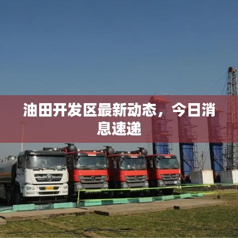 油田開發(fā)區(qū)最新動態(tài)，今日消息速遞