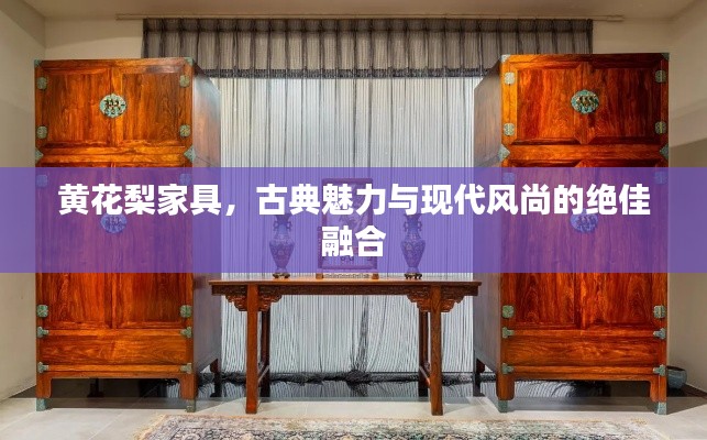 黃花梨家具，古典魅力與現(xiàn)代風(fēng)尚的絕佳融合