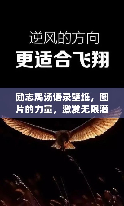 勵志雞湯語錄壁紙，圖片的力量，激發(fā)無限潛能