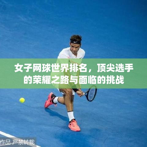 女子網(wǎng)球世界排名，頂尖選手的榮耀之路與面臨的挑戰(zhàn)