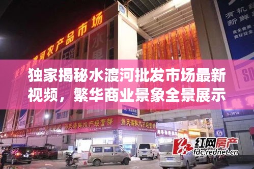 獨(dú)家揭秘水渡河批發(fā)市場(chǎng)最新視頻，繁華商業(yè)景象全景展示！