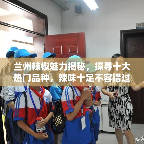 蘭州辣椒魅力揭秘，探尋十大熱門品種，辣味十足不容錯過