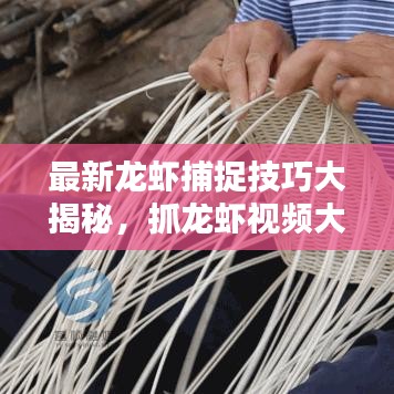 最新龍蝦捕捉技巧大揭秘，抓龍蝦視頻大全，體驗(yàn)樂趣無限！