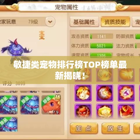 敏捷類寵物排行榜TOP榜單最新揭曉！