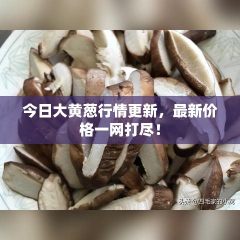 今日大黃蔥行情更新，最新價(jià)格一網(wǎng)打盡！