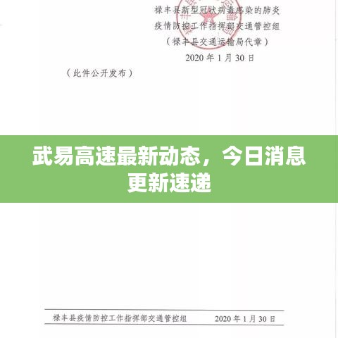 武易高速最新動態(tài)，今日消息更新速遞