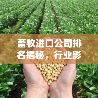 畜牧進(jìn)口公司排名揭秘，行業(yè)影響力深度解析