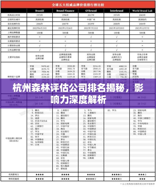 杭州森林評估公司排名揭秘，影響力深度解析