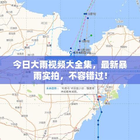 今日大雨視頻大全集，最新暴雨實拍，不容錯過！