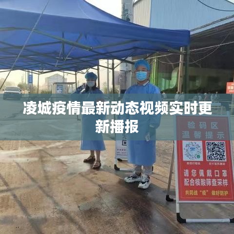 凌城疫情最新動(dòng)態(tài)視頻實(shí)時(shí)更新播報(bào)