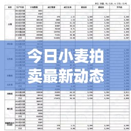 今日小麥拍賣最新動(dòng)態(tài)，市場走勢(shì)及前景展望