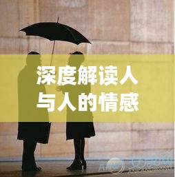 深度解讀人與人的情感連接，心心相照的魅力
