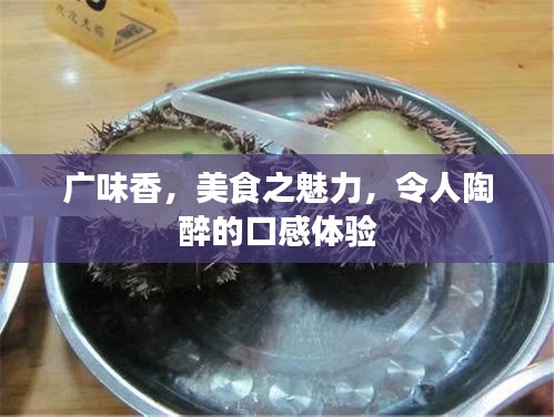 廣味香，美食之魅力，令人陶醉的口感體驗