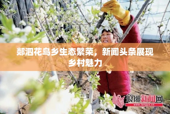 郯泗花鳥鄉(xiāng)生態(tài)繁榮，新聞頭條展現(xiàn)鄉(xiāng)村魅力