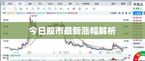 今日股市最新漲幅解析