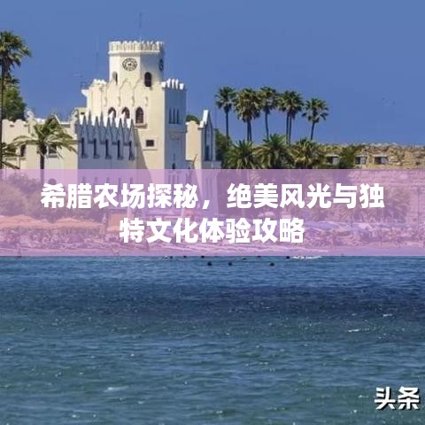希臘農(nóng)場探秘，絕美風(fēng)光與獨(dú)特文化體驗攻略