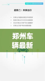 鄭州車輛最新報告揭秘，今日交通狀況全面解析