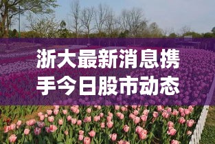 浙大最新消息攜手今日股市動態(tài)，一網(wǎng)打盡，不容錯過