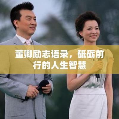 董卿勵(lì)志語錄，砥礪前行的人生智慧