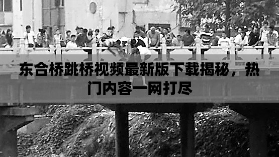 東合橋跳橋視頻最新版下載揭秘，熱門(mén)內(nèi)容一網(wǎng)打盡