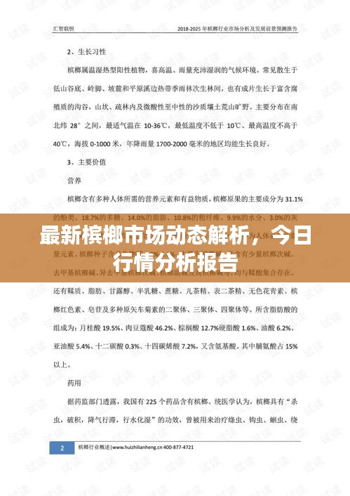 最新檳榔市場(chǎng)動(dòng)態(tài)解析，今日行情分析報(bào)告
