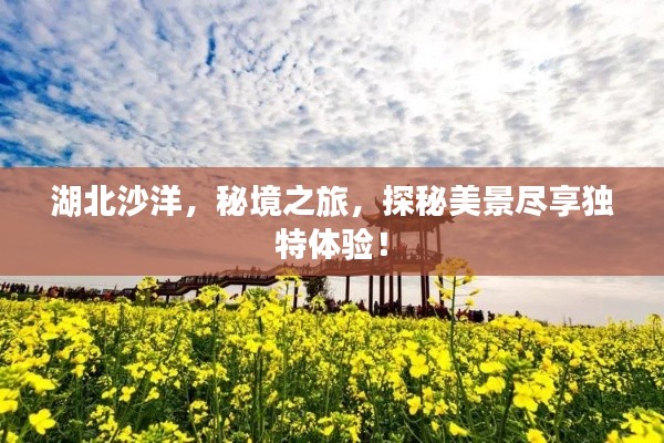 湖北沙洋，秘境之旅，探秘美景盡享獨(dú)特體驗！