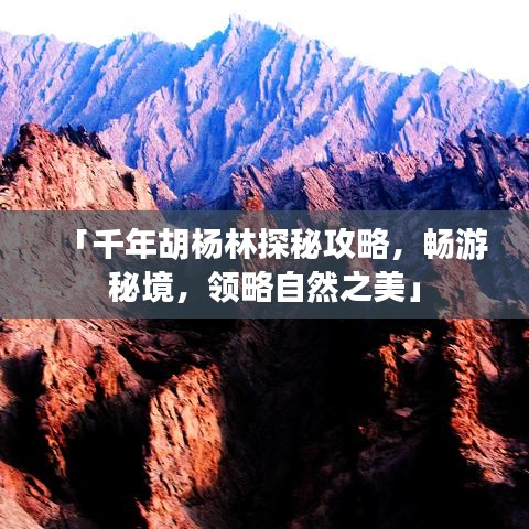 「千年胡楊林探秘攻略，暢游秘境，領(lǐng)略自然之美」