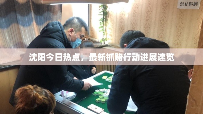 沈陽今日熱點，最新抓賭行動進展速覽