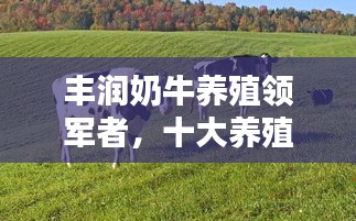 豐潤奶牛養(yǎng)殖領(lǐng)軍者，十大養(yǎng)殖企業(yè)榮耀上榜