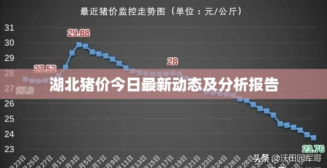 湖北豬價(jià)今日最新動態(tài)及分析報(bào)告