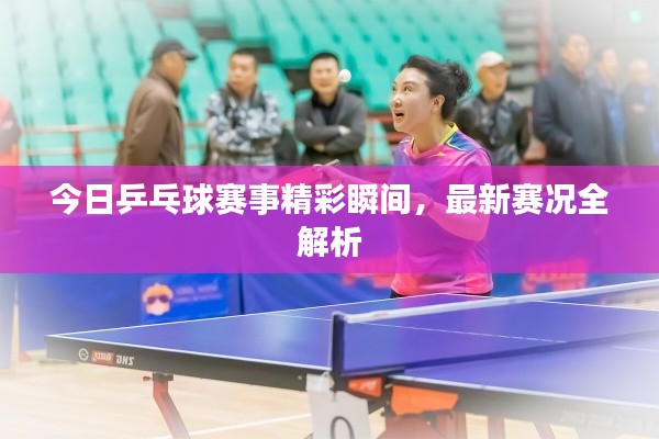 今日乒乓球賽事精彩瞬間，最新賽況全解析