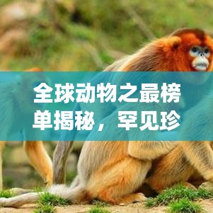 全球動物之最榜單揭秘，罕見珍稀生物震撼排名！