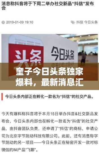 奎子今日頭條獨(dú)家爆料，最新消息匯總