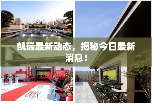 凱瑞最新動態(tài)，揭秘今日最新消息！