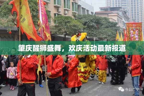 肇慶醒獅盛舞，歡慶活動最新報道