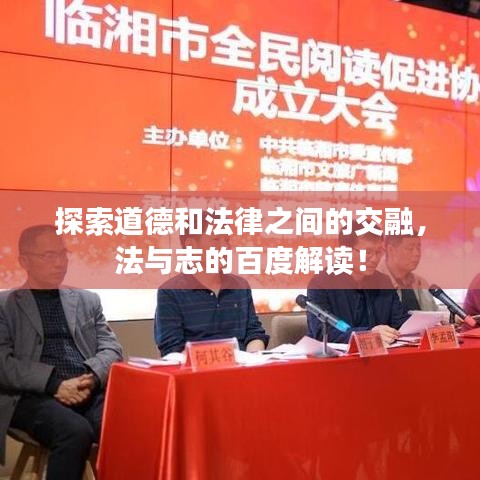 雍容華貴 第3頁